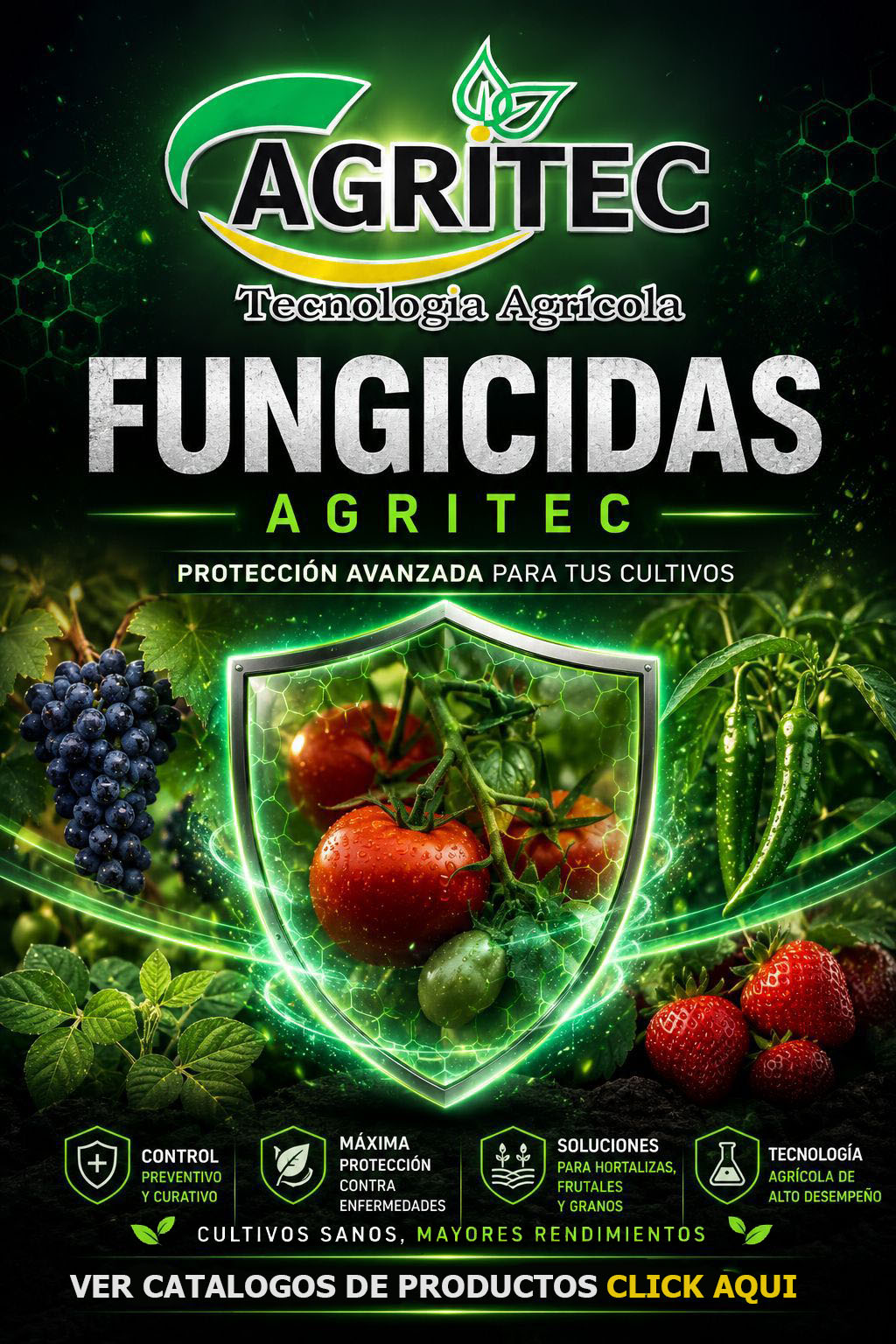 PortadaSubPortada LINK
